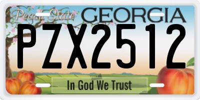 GA license plate PZX2512