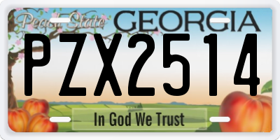 GA license plate PZX2514