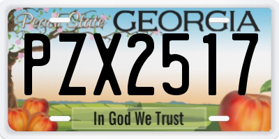 GA license plate PZX2517