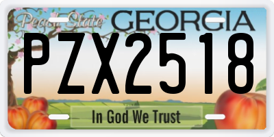 GA license plate PZX2518