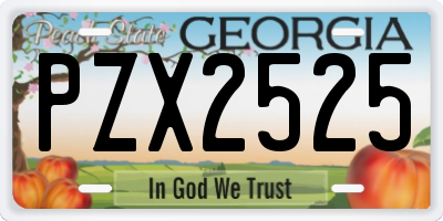 GA license plate PZX2525