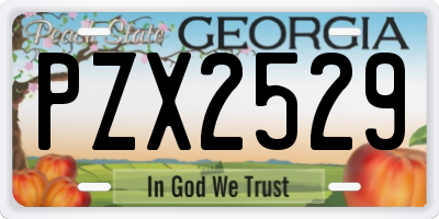 GA license plate PZX2529