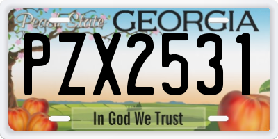 GA license plate PZX2531