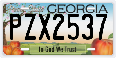 GA license plate PZX2537