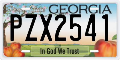 GA license plate PZX2541