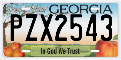 GA license plate PZX2543