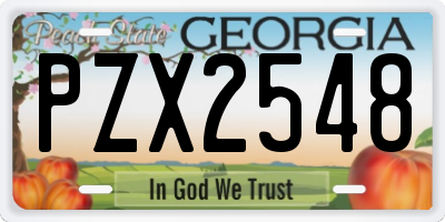 GA license plate PZX2548