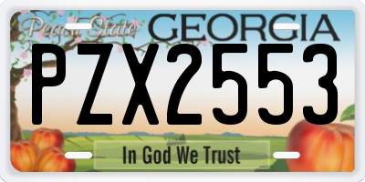 GA license plate PZX2553