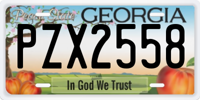 GA license plate PZX2558