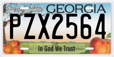GA license plate PZX2564