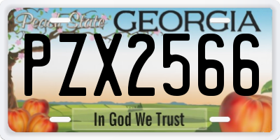 GA license plate PZX2566