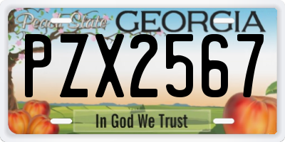 GA license plate PZX2567
