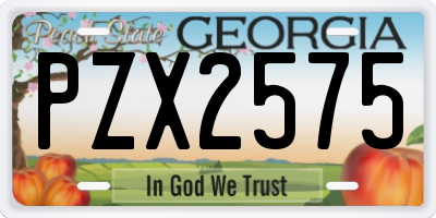 GA license plate PZX2575