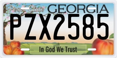 GA license plate PZX2585