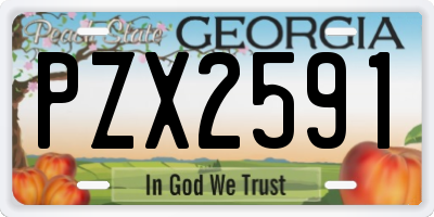 GA license plate PZX2591