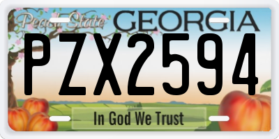 GA license plate PZX2594