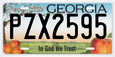 GA license plate PZX2595