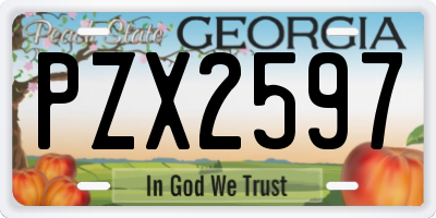 GA license plate PZX2597