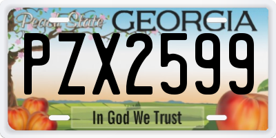 GA license plate PZX2599