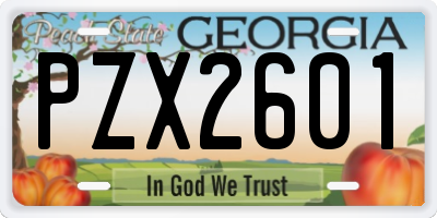 GA license plate PZX2601