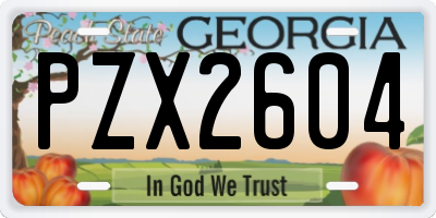 GA license plate PZX2604
