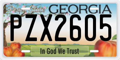 GA license plate PZX2605