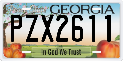 GA license plate PZX2611