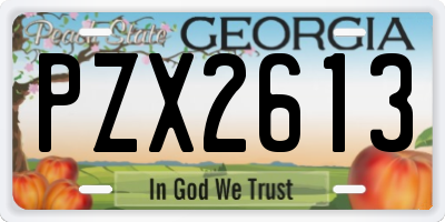 GA license plate PZX2613