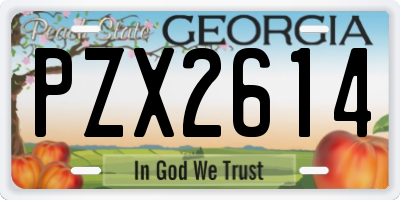 GA license plate PZX2614