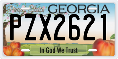 GA license plate PZX2621