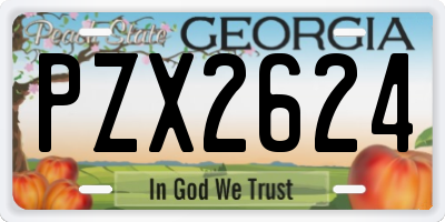 GA license plate PZX2624