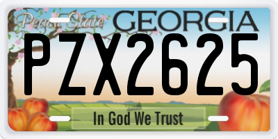 GA license plate PZX2625