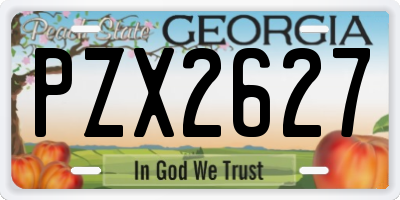 GA license plate PZX2627