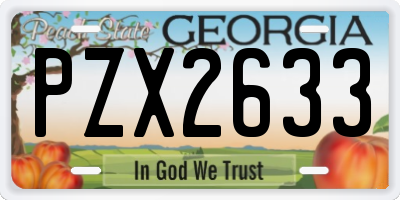 GA license plate PZX2633