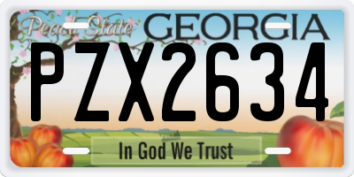 GA license plate PZX2634
