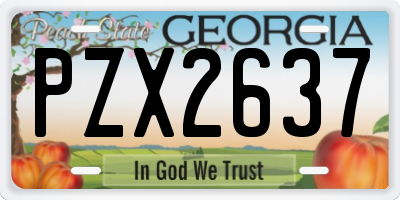 GA license plate PZX2637