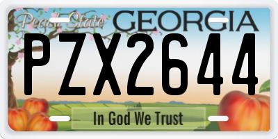 GA license plate PZX2644