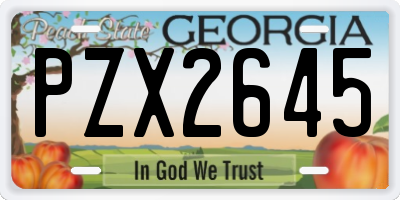 GA license plate PZX2645