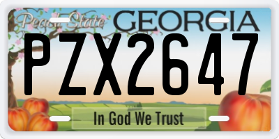 GA license plate PZX2647