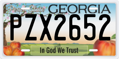 GA license plate PZX2652