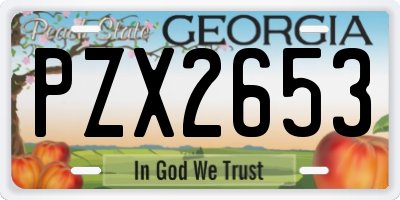 GA license plate PZX2653