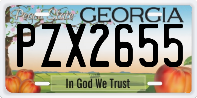 GA license plate PZX2655