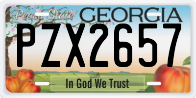 GA license plate PZX2657