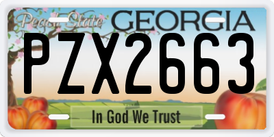 GA license plate PZX2663