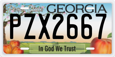 GA license plate PZX2667