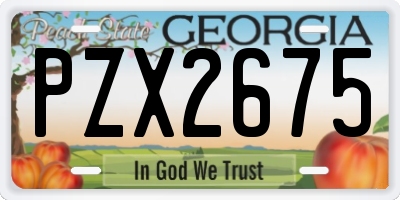 GA license plate PZX2675
