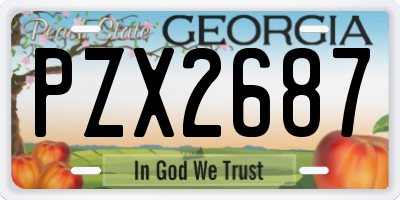 GA license plate PZX2687