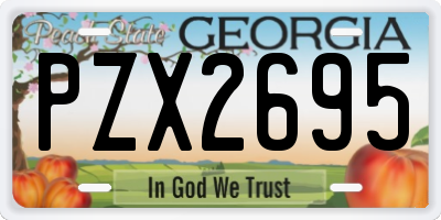 GA license plate PZX2695