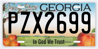 GA license plate PZX2699