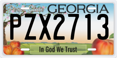 GA license plate PZX2713